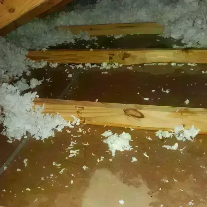 Attic Water Damage in Nickerson, KS