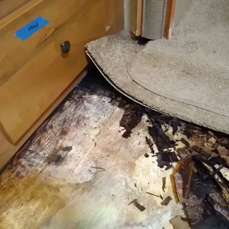 Wood Floor Water Damage in Nickerson, KS